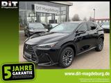 Lexus NX 350h 4X4 Executive Line Interieur-Tech. Paket - schwarze Lexus NX 350h