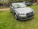 Audi A3. TÜV Neu. 5-Türer. - Audi A3: Türer 3