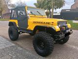Jeep jeep Wrangler yj offroad 1995 4.0 - Jeep: Offroad
