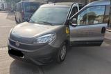 Fiat Doblo Cargo incl. Sortimo Regalsystem - Fiat Cargo doblo