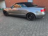 Audi A5 2.0 TDI 140kW Cabriolet - - Audi A5 in Mönchengladbach