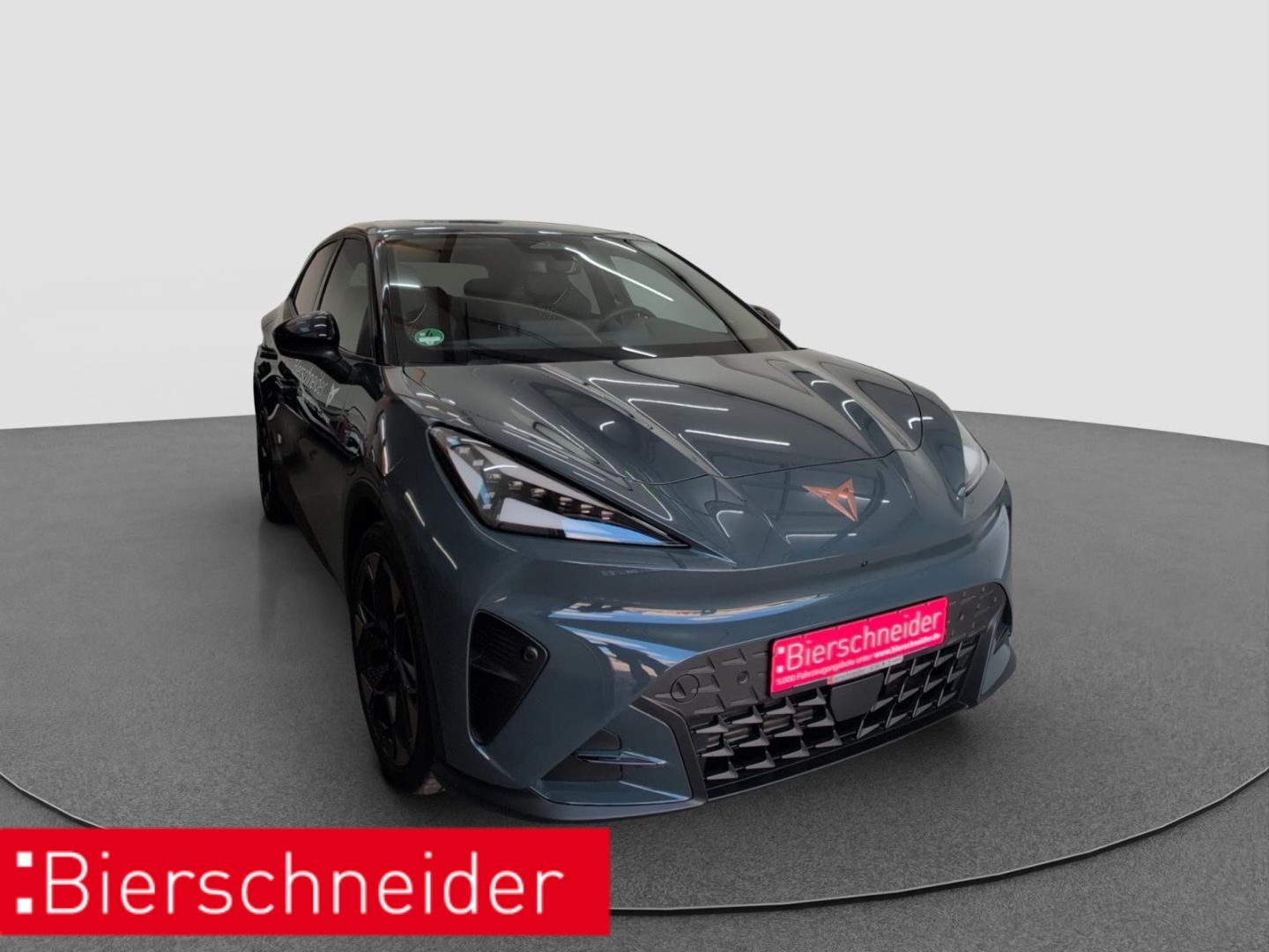 Cupra Raval Endurance Edition NAVI RFK MATRIX ACC imagem 3