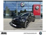 Alfa Romeo Junior 1.2 VGT Ibrida Intensa SONDERMODELL - Alfa Romeo Neuwagen