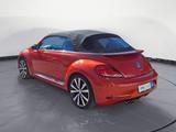 Volkswagen Beetle 1.4 TSI BMT ALLSTAR Cabriolet Servotronic - Volkswagen Beetle: Cabrio