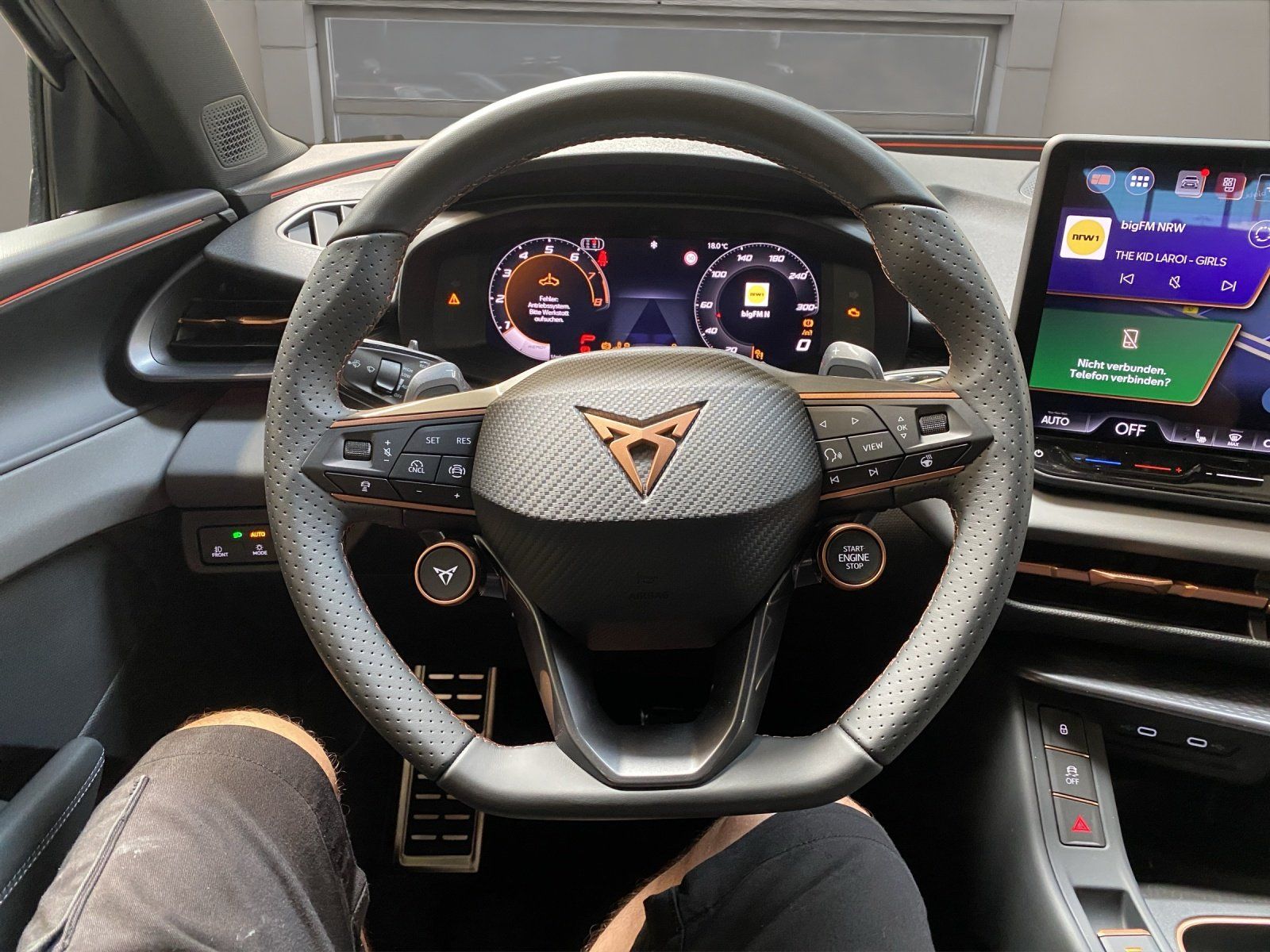 Cupra Terramar - Bild 11