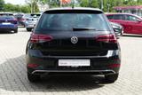 Volkswagen Golf VII 1.5 TSI IQ.DRIVE Navi ACC Totwinkel DAB - Volkswagen Golf mit Benzin-Antrieb: Kleinwagen, Automatik