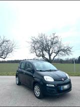 Fiat Panda 35.000km TÜV Neu - Fiat Panda Gebrauchtwagen in Karlsruhe