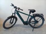Riese & Müller Charger5 Vario - Diamant E-Bikes