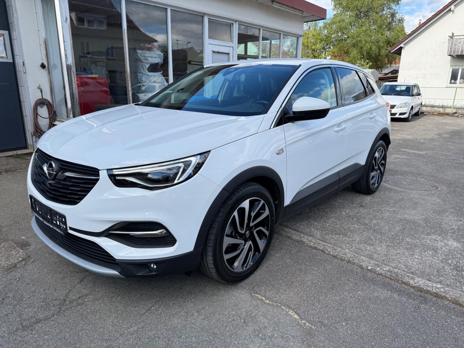 Opel Grandland (X) Navi Rückfahrkamera