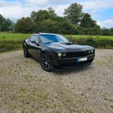 Dodge Challenger Shaker 6.4 V8  ScatPack Widebody - Dodge Challenger: Shaker