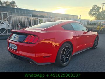 Ford Mustang - 5
