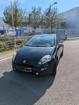 Fiat Punto 1.2 8V YOUNG  - Fiat Punto Gebrauchtwagen in Mannheim