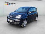 Fiat Panda 1.0 Mild-Hybrid *Klima*PDC*5sitzer* - Fiat Panda: Sitzer