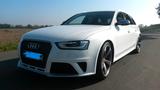 Audi RS4 4.2 FSI S tronic quattro Avant - - Audi RS4: Weiß