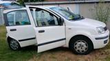 Fiat PANDA SUCHT NEUES ZUHAUSE - Fiat Panda Gebrauchtwagen in Mönchengladbach