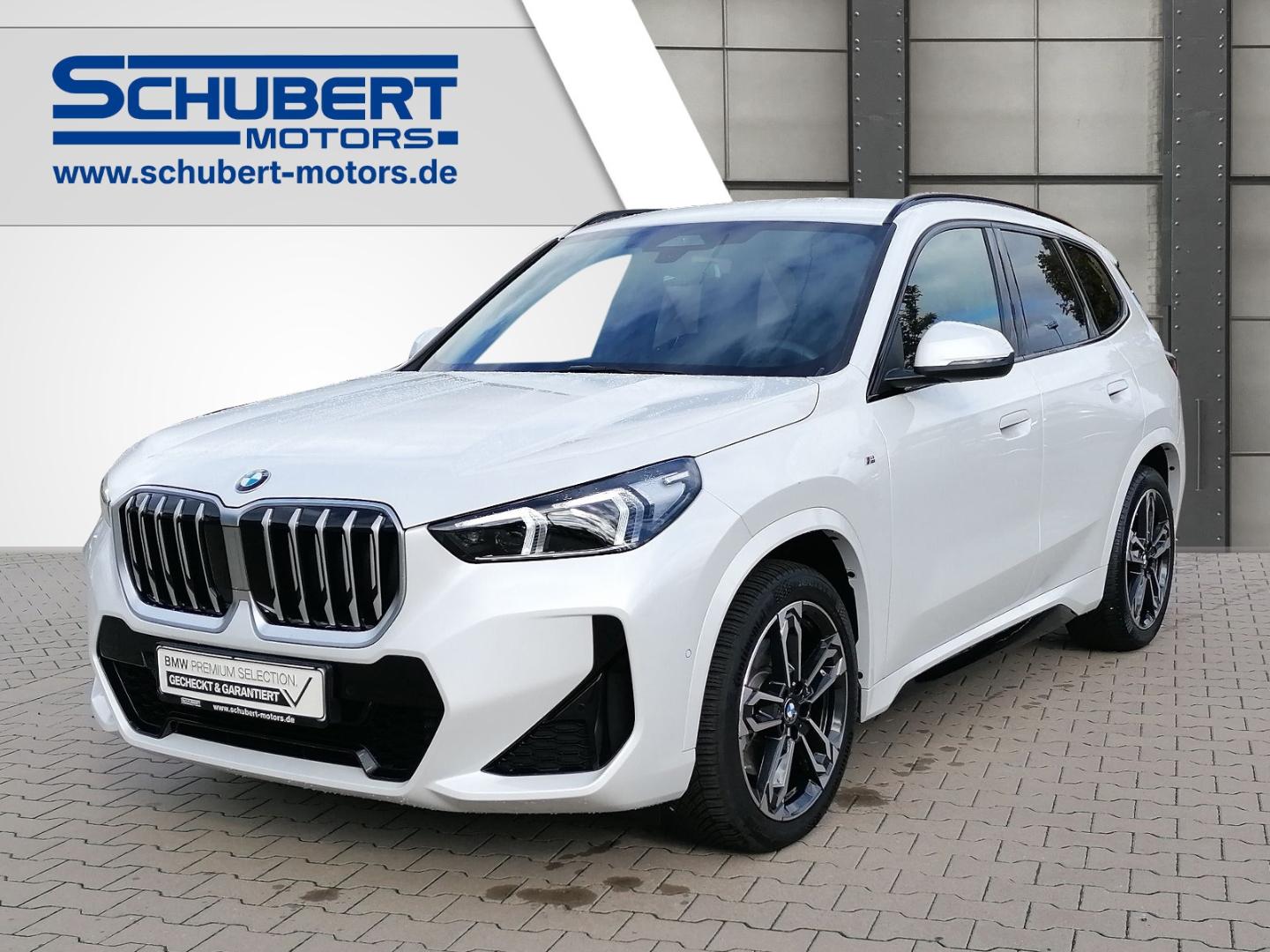 BMW X1 sDrive20i M Sport NAVI Adap.LED Kamera Sports