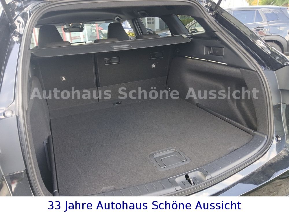 Suzuki Swace - Bild 27