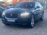 Jaguar F-Pace F-PACE Portfolio AWD 3.0d HU/AU NEU - Jaguar aus 2017