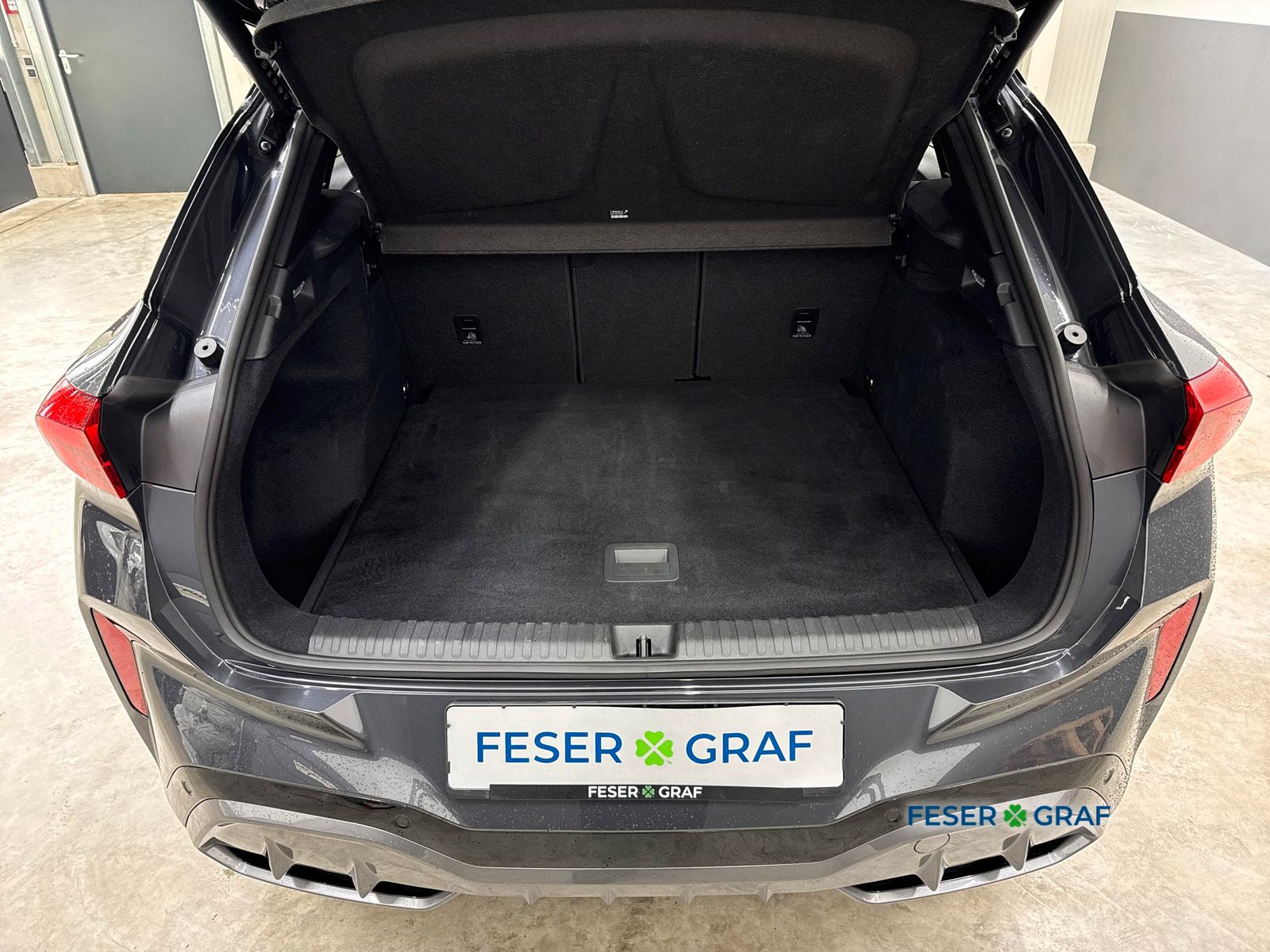 Cupra Terramar - Bild 12