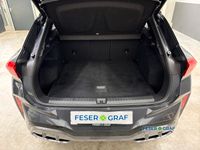 Cupra Terramar - Vorschau Bild 12