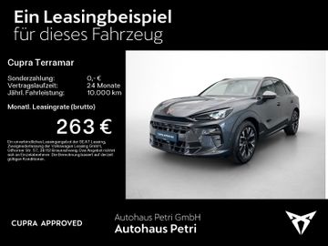 Cupra Terramar - 2