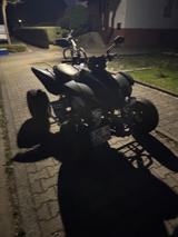 Dinli 450S Special  - DINLI QUAD