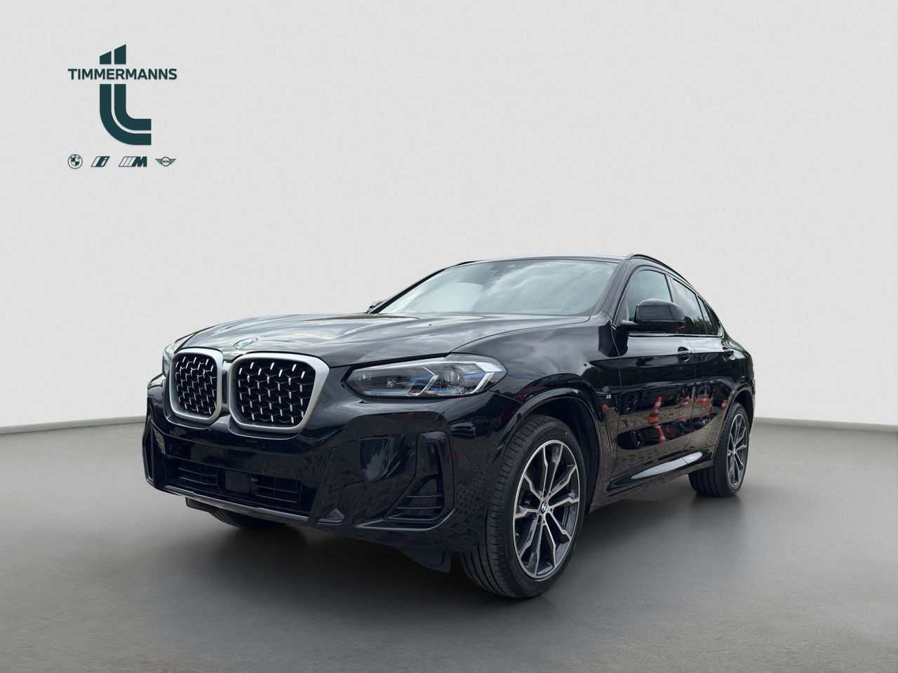 BMW X4 xDrive20i M Sport HUD AHK HiFi DrAss ParkAss