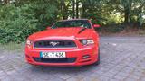 Ford Mustang Cabrio 3,7 V6 - Ford Mustang: For
