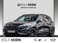 Ford Kuga 2.0 EcoBlue Auto ST-Line X Navi LED Klima