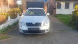 Skoda Octavia Combi 2.0 TDI RS RS - Skoda Octavia aus 2008: RS
