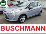 Ford Fiesta Titanium 1.6 KLIMATRONIC*PDC*ALLWETTER - Ford Fiesta aus 2010: Titanium