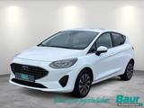 Ford Fiesta 1.0 EcoBoost Hybrid S&S TITANIUM Winter - Behindertengerechte Ford Fiesta