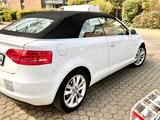 Audi A3 2.0 TDI Ambition Cabriolet Ambition - Audi A3 aus 2012: TDI