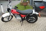 Suzuki Van Van 125 - SUZUKI VAN