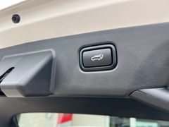 Fahrzeugabbildung Kia NIRO EV INS WP DW TEC REX SD GD STL