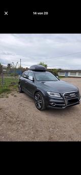 Audi  SQ 5 - Audi SQ5 in Ludwigshafen