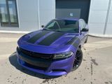 Dodge Charger V6 *Blacktop*CarPlay* Plum Crazy*20 Zoll - Dodge Charger aus 2019