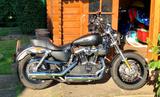 Harley-Davidson Sportster 1200 Custom CB