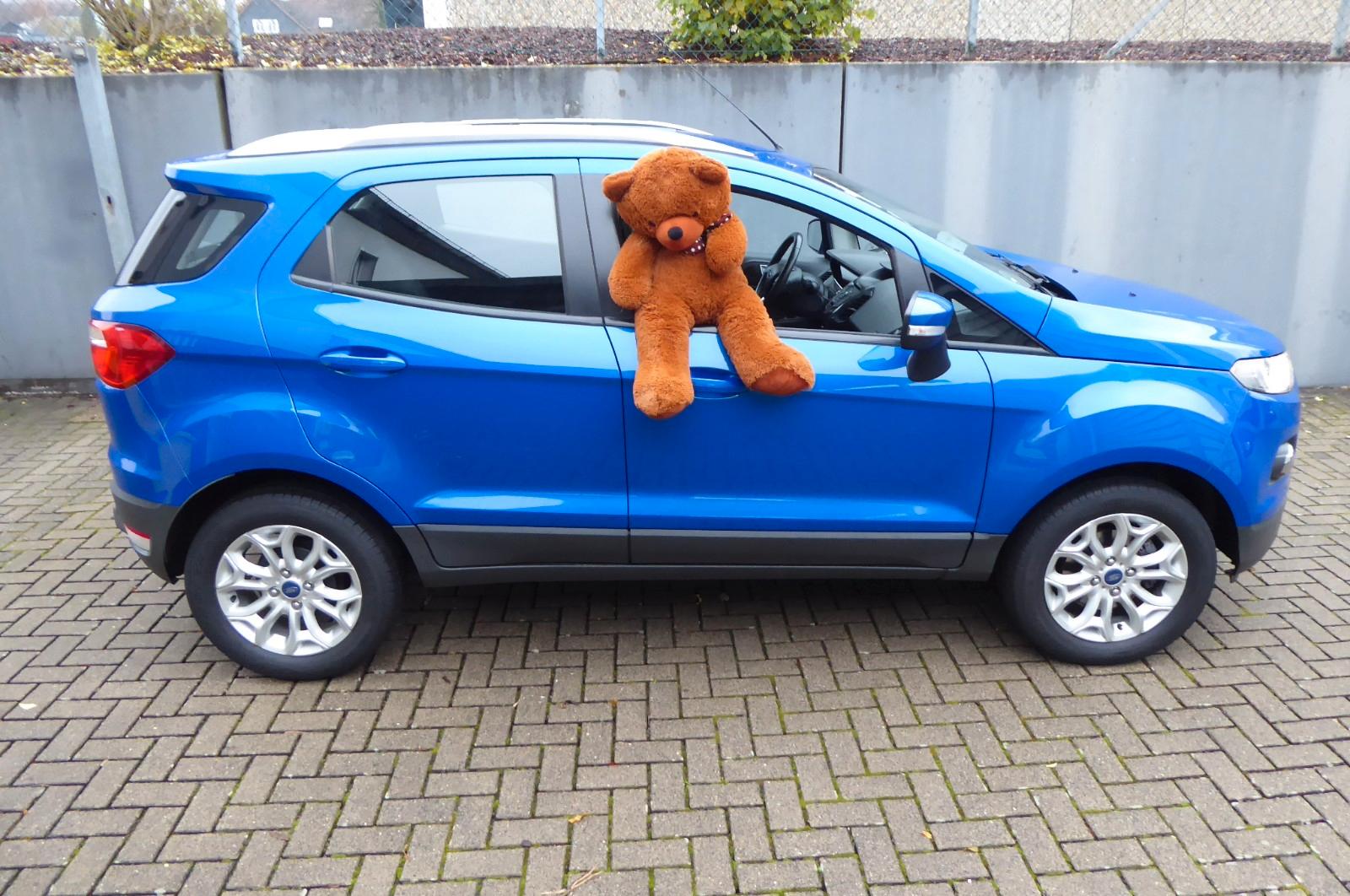 Ford EcoSport Titanium nur 4,4 Liter Verbrauch