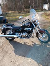 Hyosung AGILA 250 - HYOSUNG CHOPPER