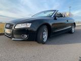 Audi Cabriolet A5 - Audi Cabriolet aus 2010