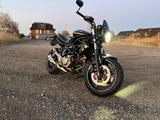 Suzuki Gladius 650 SV - Angebote entsprechen deinen Suchkriterien
