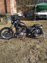 Yamaha Virago 535 - YAMAHA 1997 VIRAGO 535