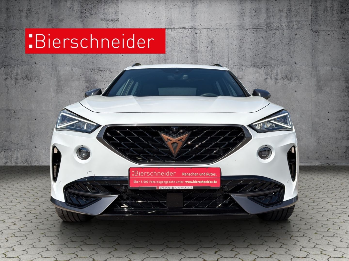 Cupra Formentor 2.0 TDI DSG 4Drive 5-J-GARANTIE AHK NA imagem 3
