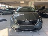 Skoda Octavia Combi Scout 4x4,DSG,Kamera,Ahk,Navi,Tüv- - Skoda Octavia: Combi Scout