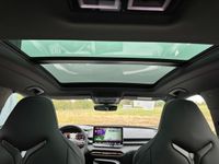 Cupra Terramar - Vorschau Bild 24