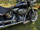 Harley-Davidson Softail Deluxe FLSTN 103 - Motorräder in Münster