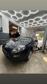 Fiat Punto 1.2 8V POP POP - Fiat Punto in Hagen