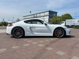 Porsche Cayman 981 GT4 keine Rennstrecke - Porsche Cayman in Stuttgart