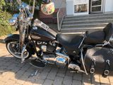 Harley-Davidson Softail Springer FLSTS - HARLEY-DAVIDSON SPRINGER SOFTAIL